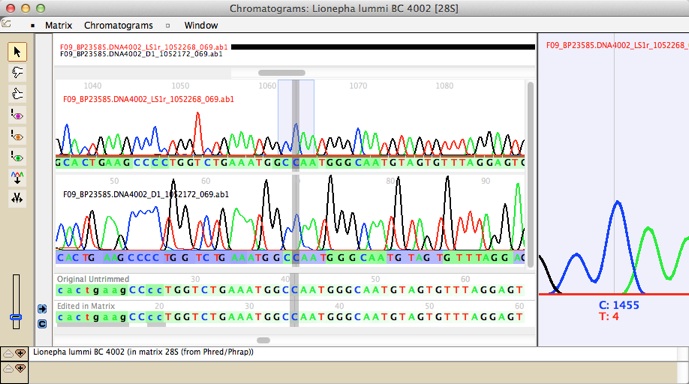 chromaseq.jpg